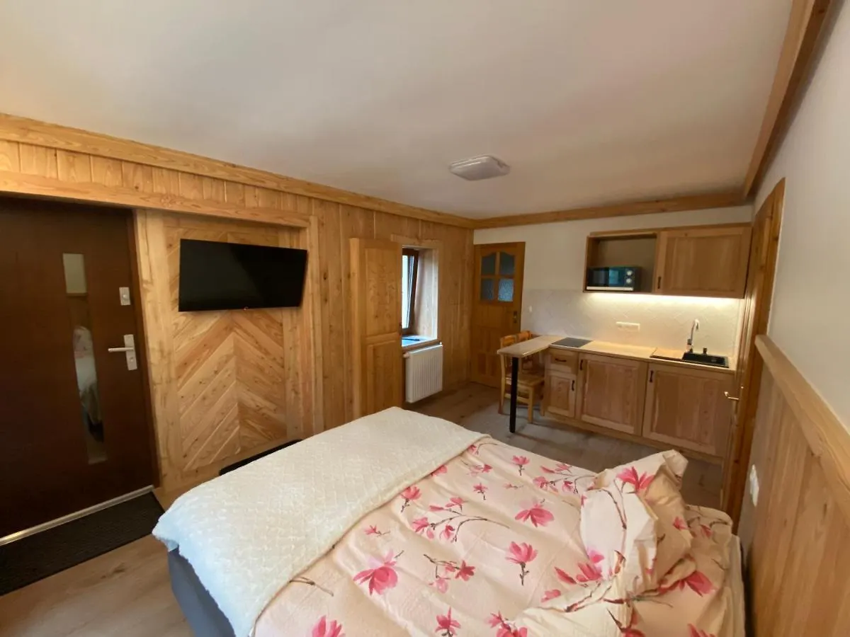 Apartment Apartamenty Pokoje Nad Potokiem Zakopane